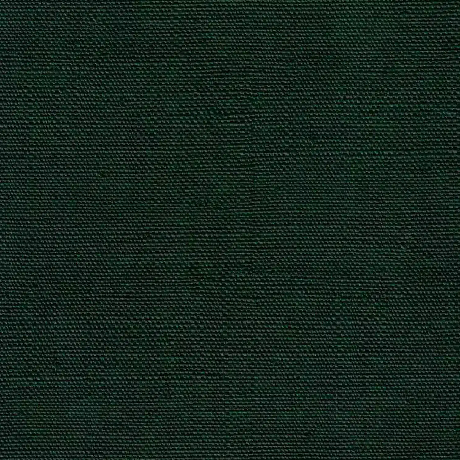 597 Evergreen